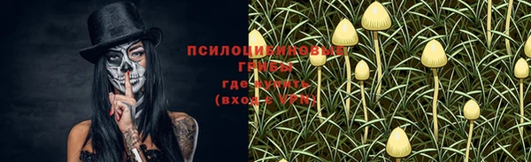скорость Заводоуковск
