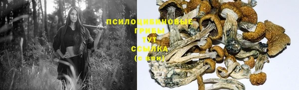 скорость Заводоуковск
