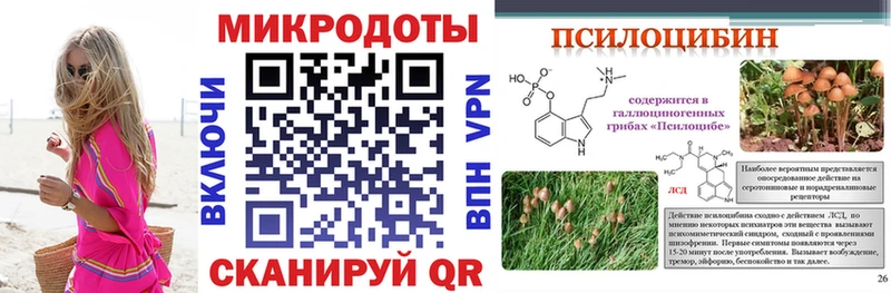 Купить закладки  Киселёвск  Псилоцибиновые грибы Psilocybe 